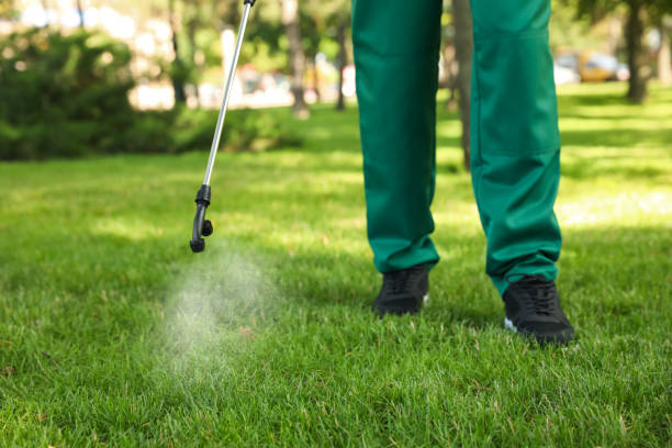 Best Mosquito Control Services  in Chillicothe, MO