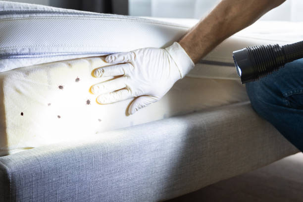 Best Commercial Pest Control Services  in Chillicothe, MO